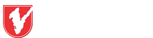 Universidade Unifacvest